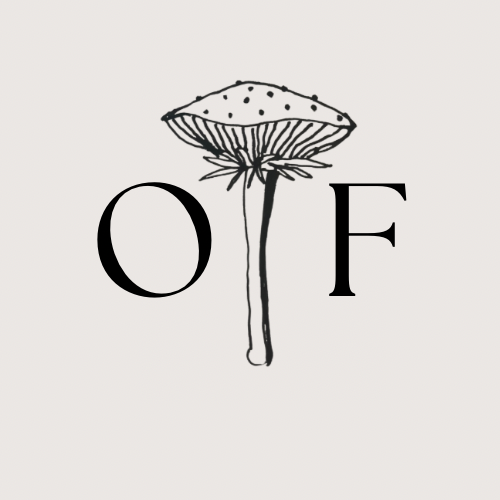 The Saffy set | Top & tapered trouser