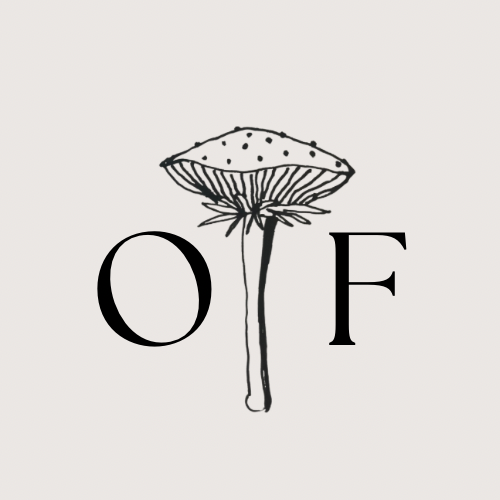 Orla washed cotton | tapered leg trouser